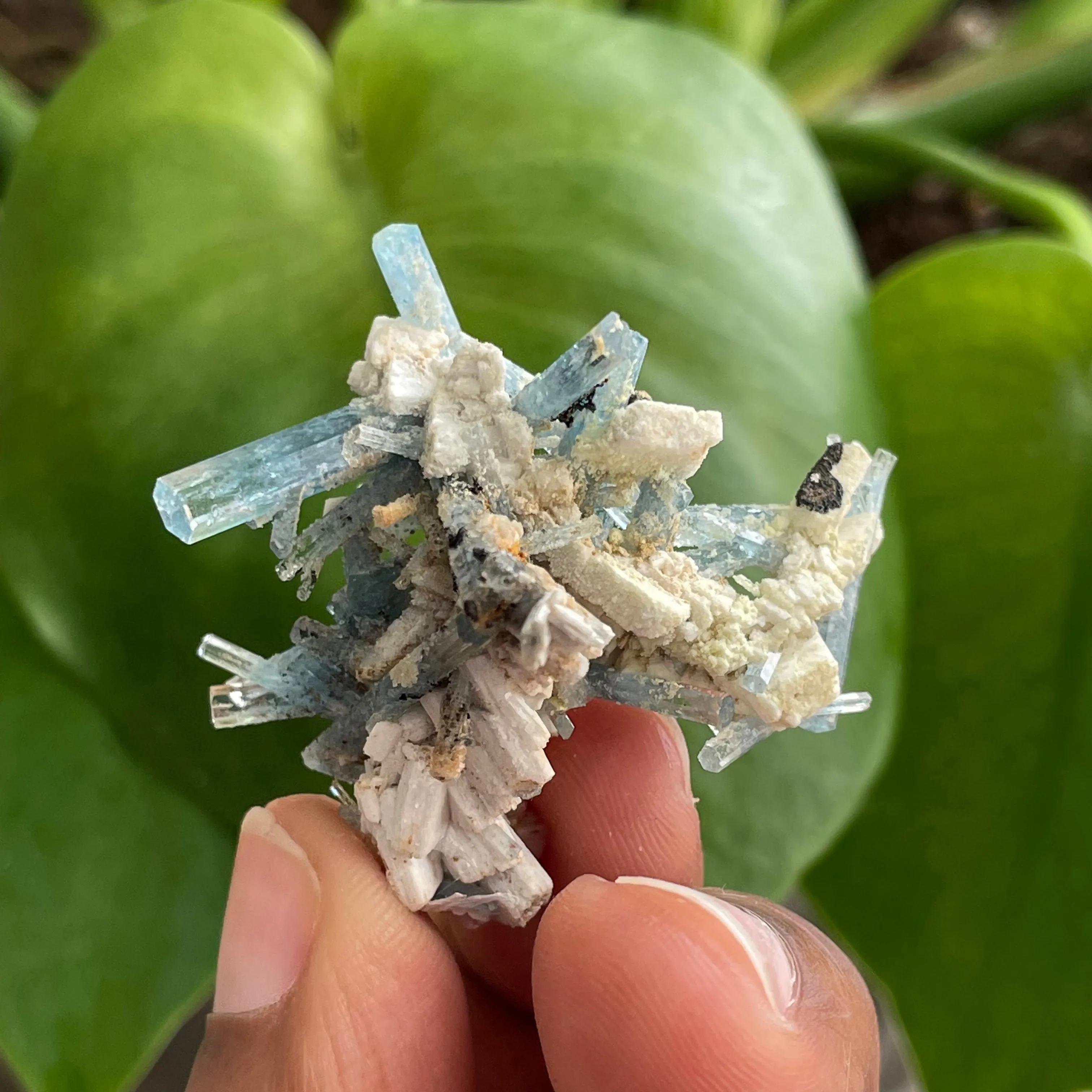Aquamarine Cluster on Feldspar, From Erongo Region, Namibia