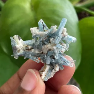 Aquamarine Cluster on Feldspar, From Erongo Region, Namibia