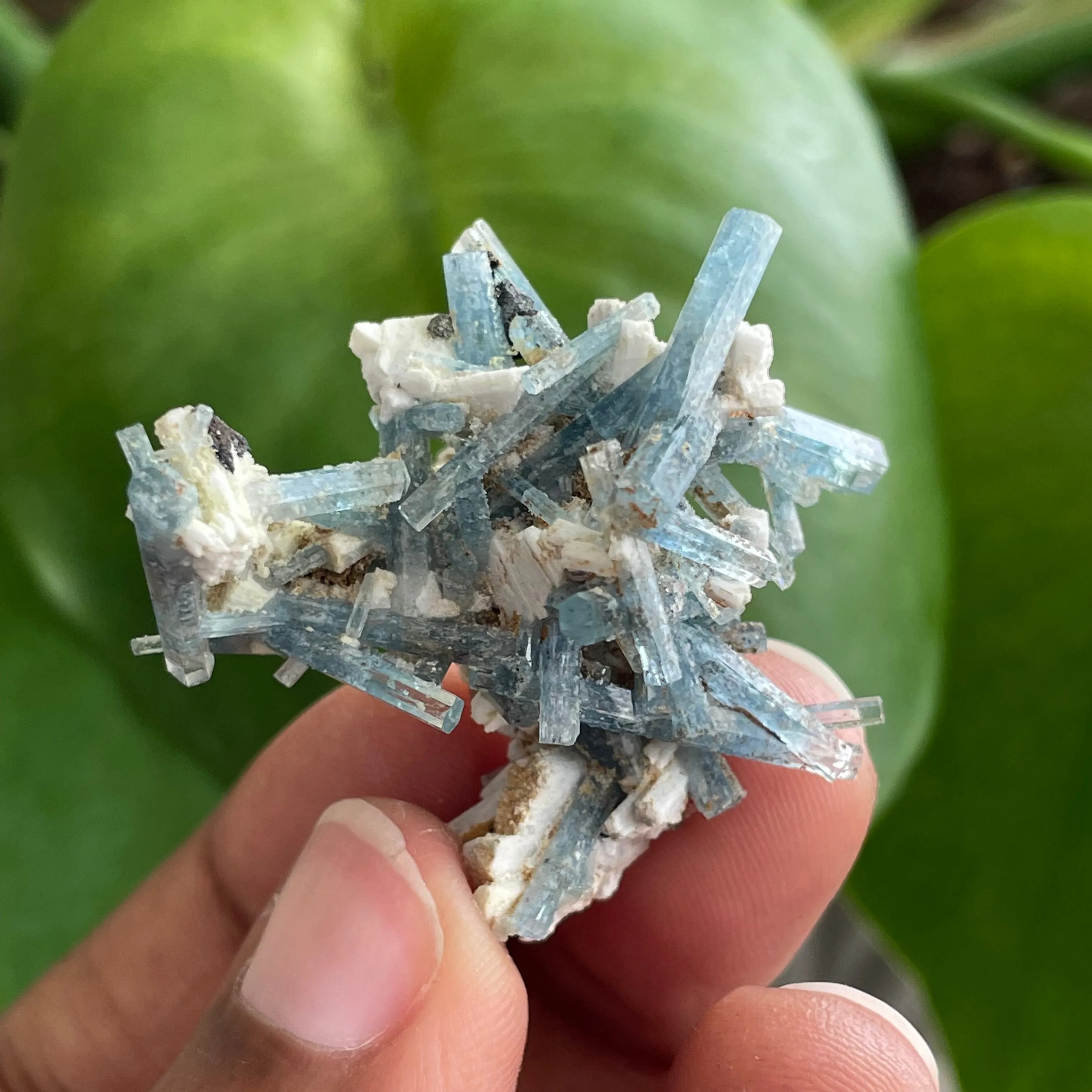 Aquamarine Cluster on Feldspar, From Erongo Region, Namibia