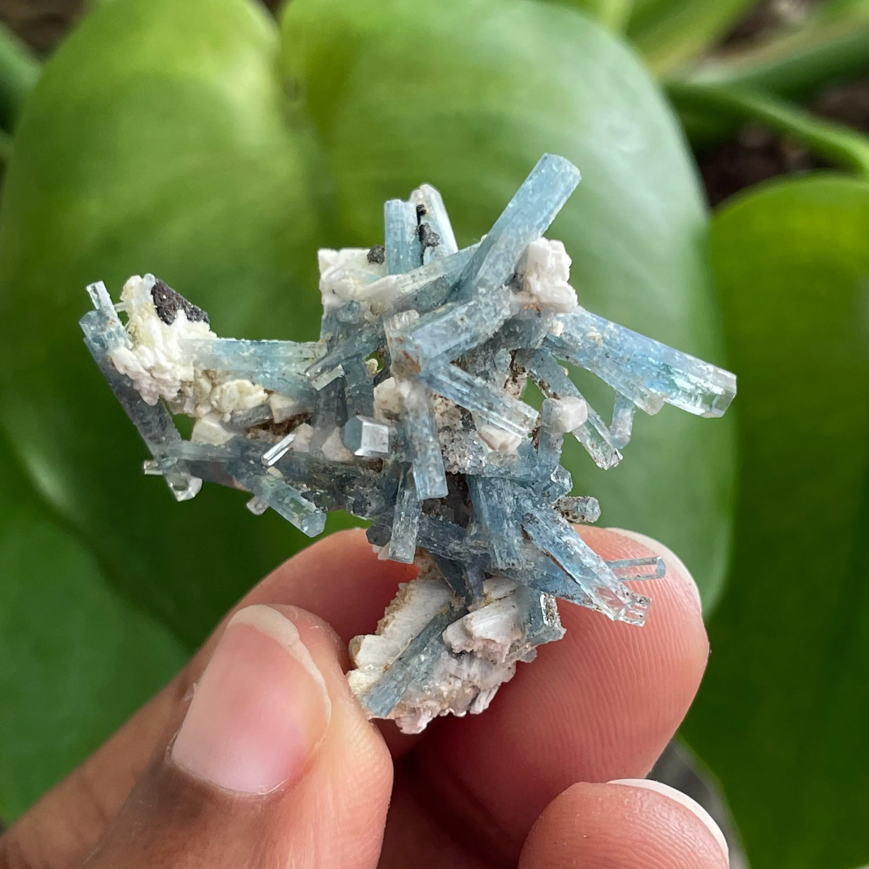 Aquamarine Cluster on Feldspar, From Erongo Region, Namibia