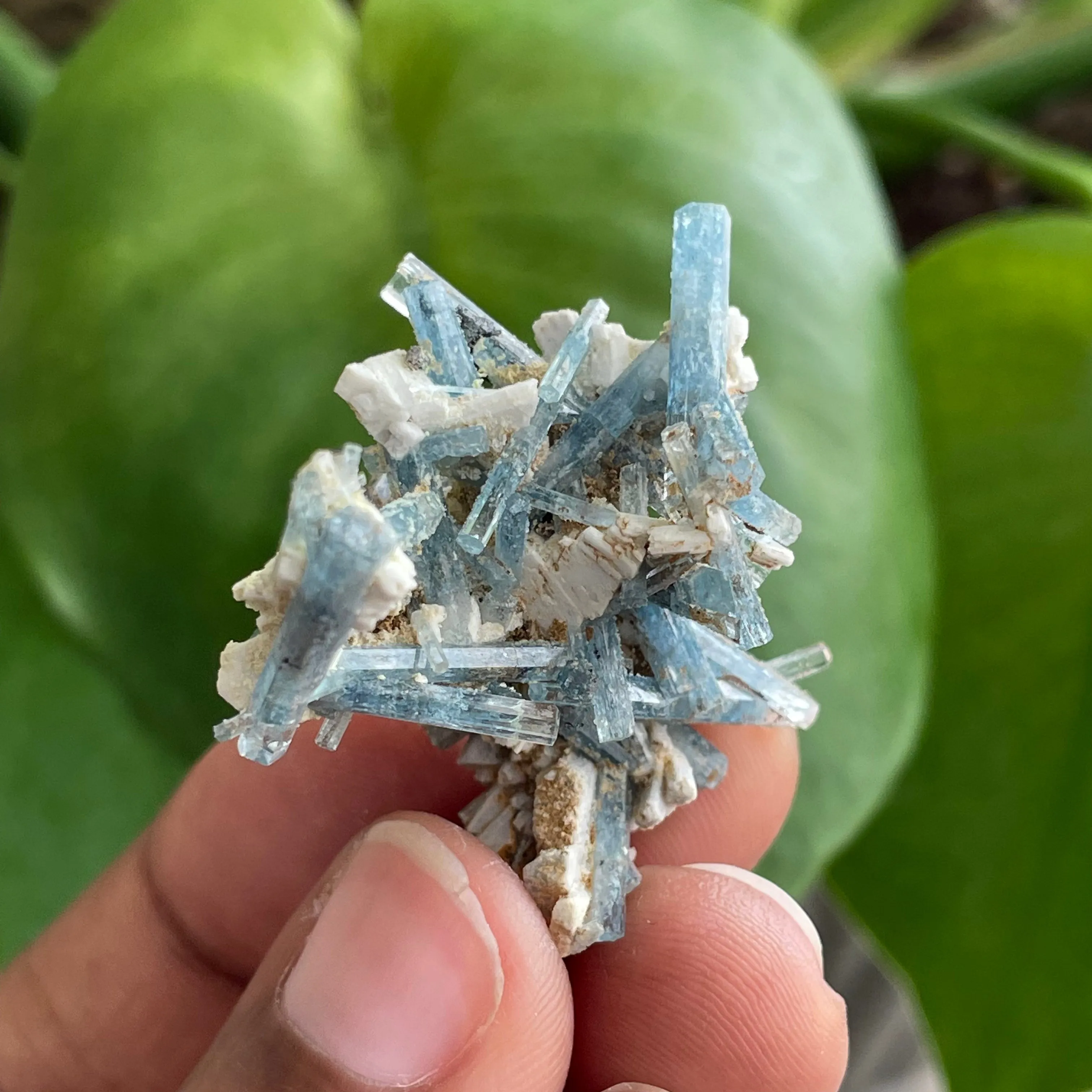 Aquamarine Cluster on Feldspar, From Erongo Region, Namibia
