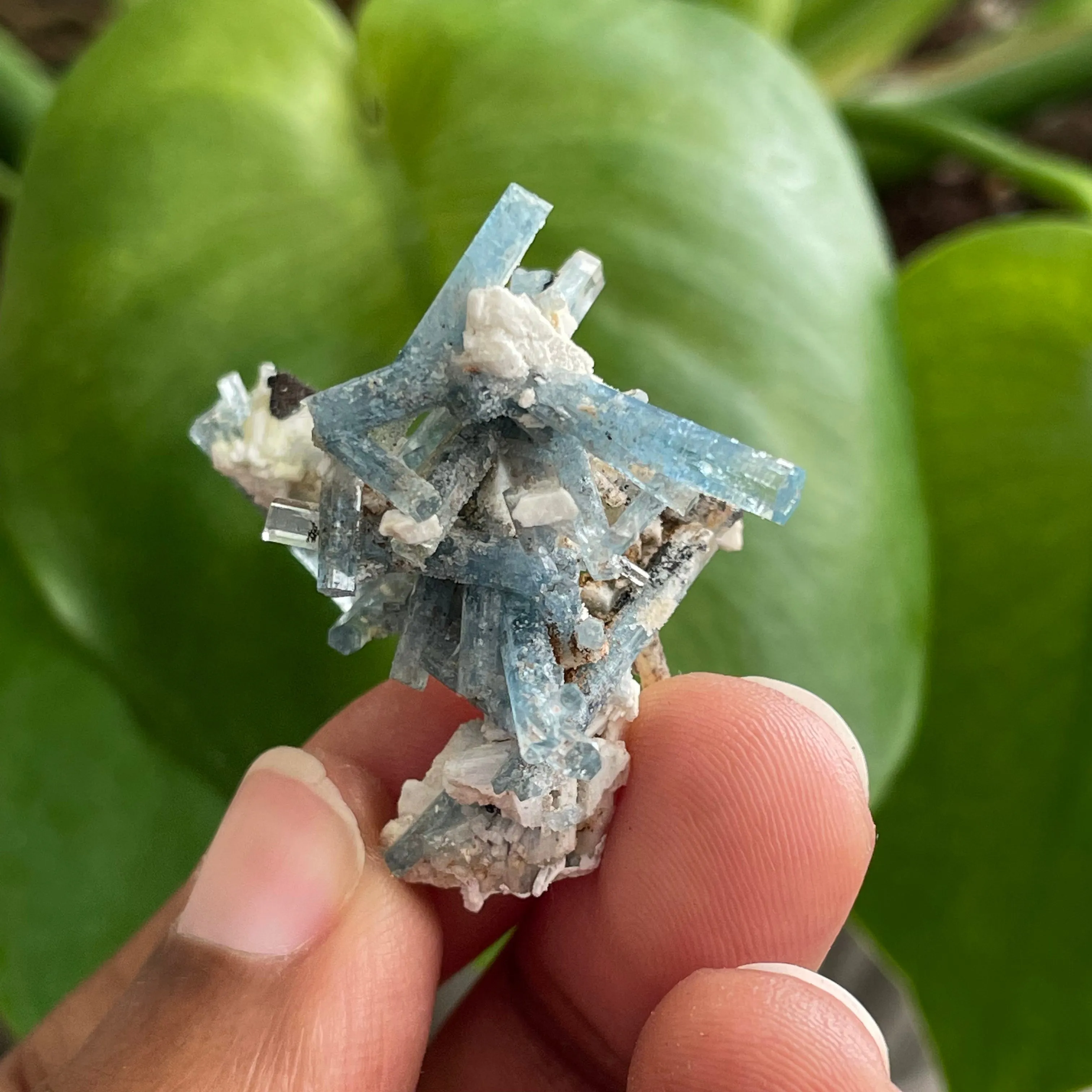 Aquamarine Cluster on Feldspar, From Erongo Region, Namibia