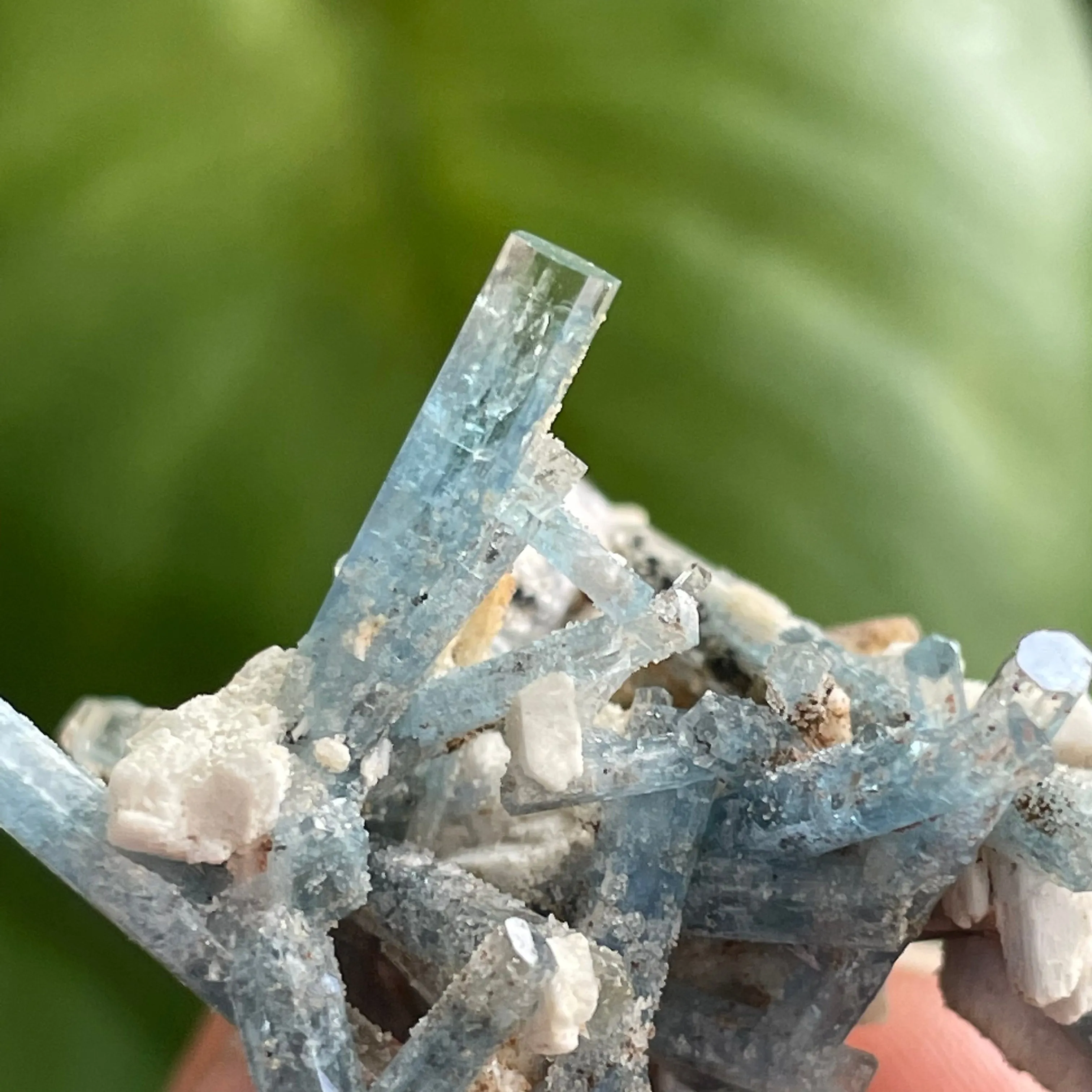 Aquamarine Cluster on Feldspar, From Erongo Region, Namibia