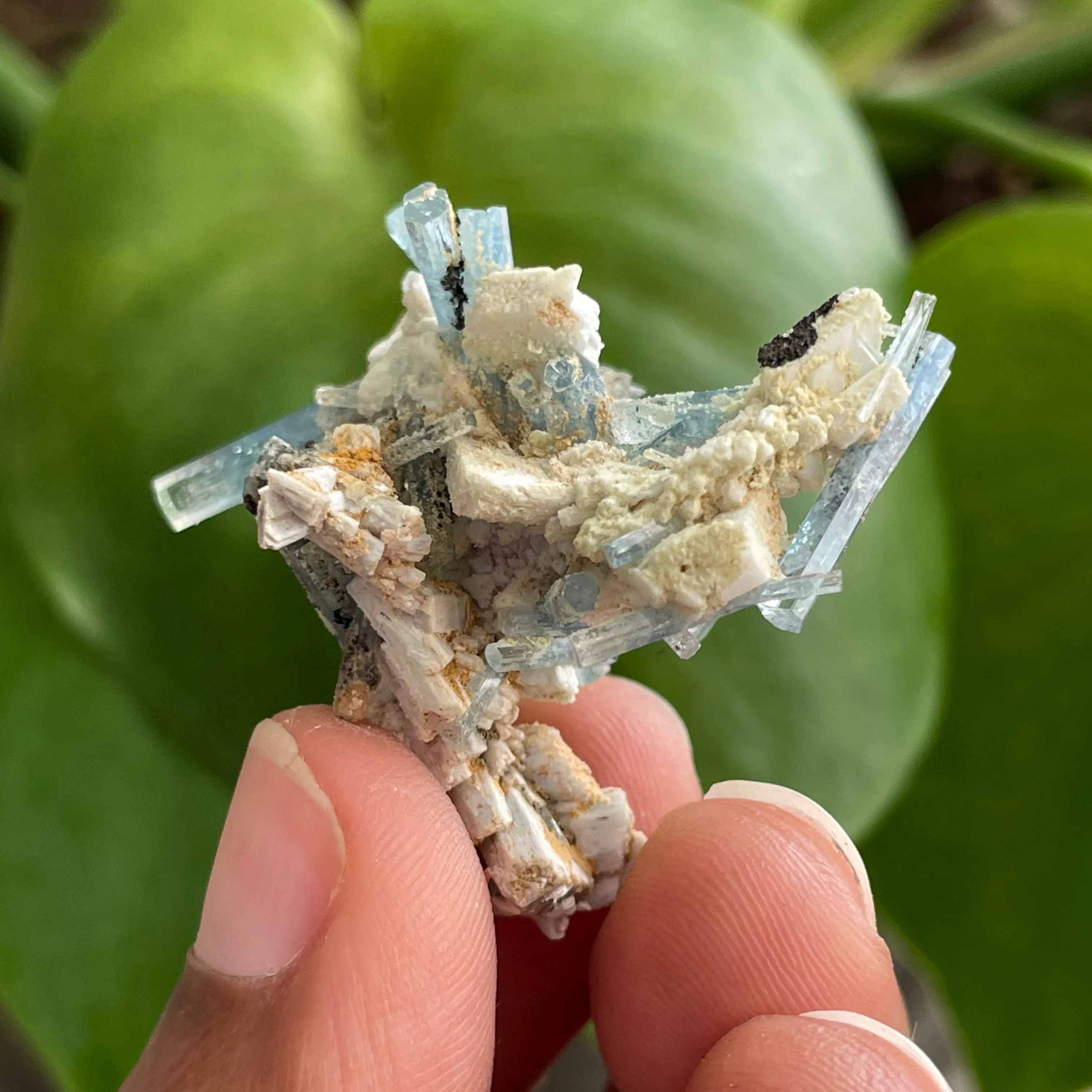 Aquamarine Cluster on Feldspar, From Erongo Region, Namibia